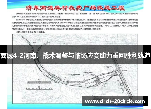 蓉城4-2河南：战术调整与临场应变助力重回胜利轨道